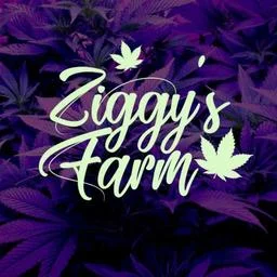 ZiggyFarmShop